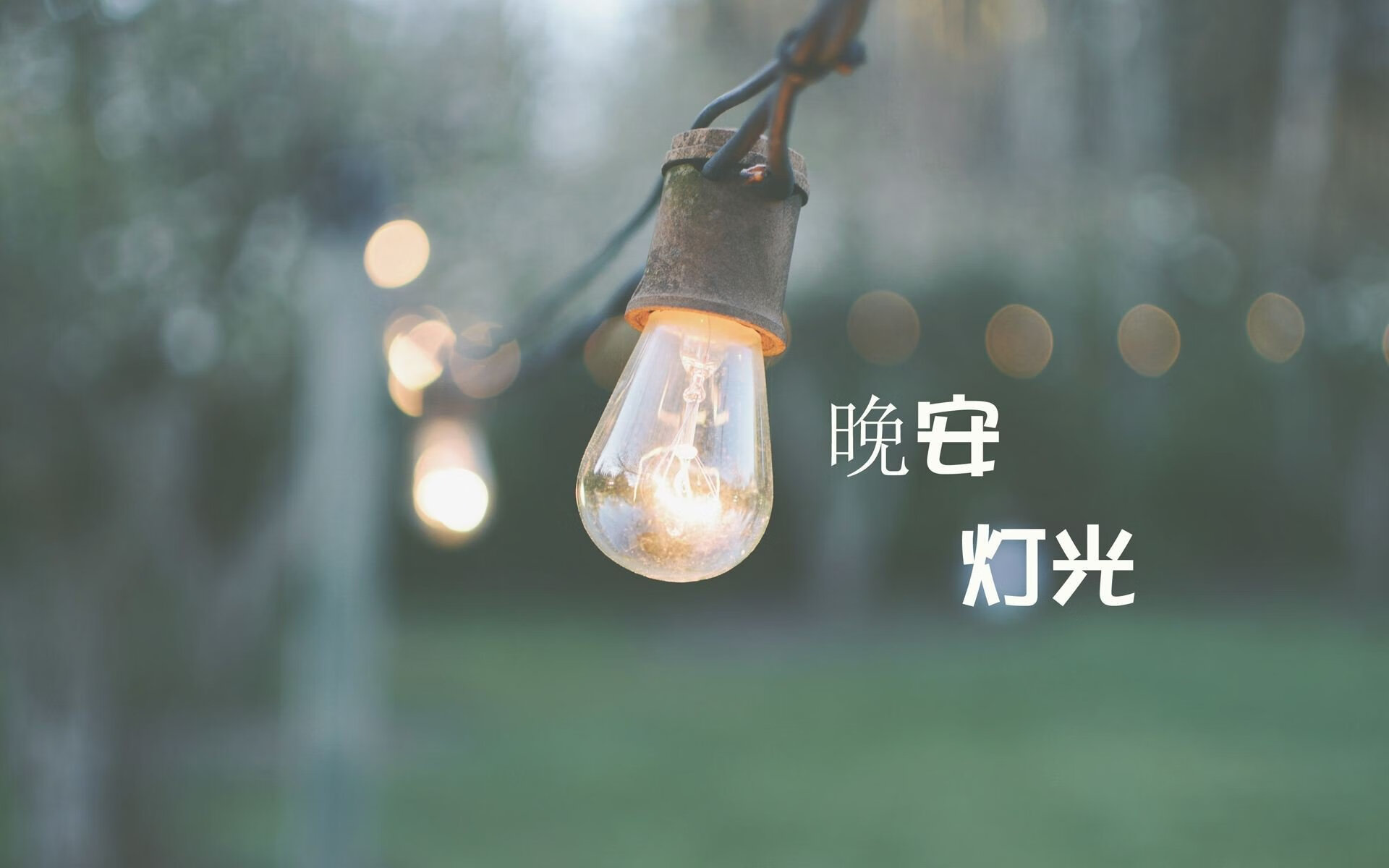 世界巡回赛精彩纷呈：穿越五大洲的极速挑战，世界巡回赛是什么意思