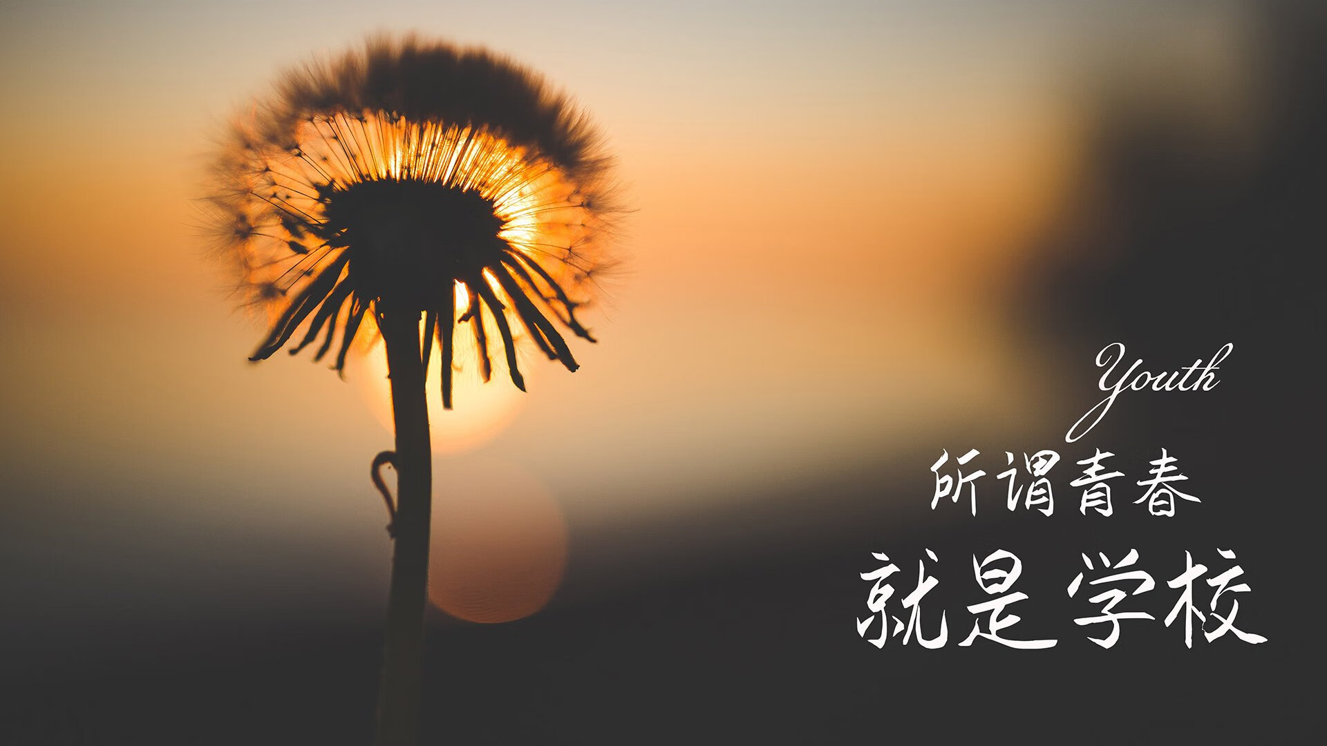 解说团队亮相全球电竞大赛，展现专业素养，电竞解说参加的综艺