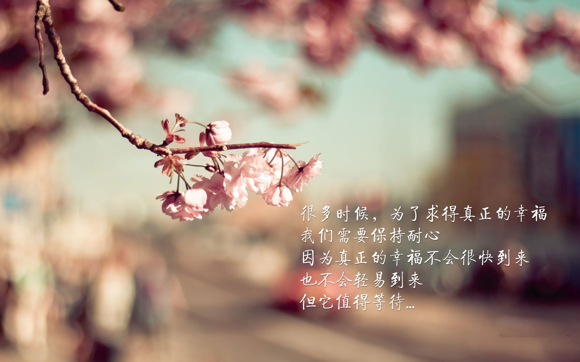 篮球运动员身体恢复技术创新，篮球运动员的疲劳与恢复