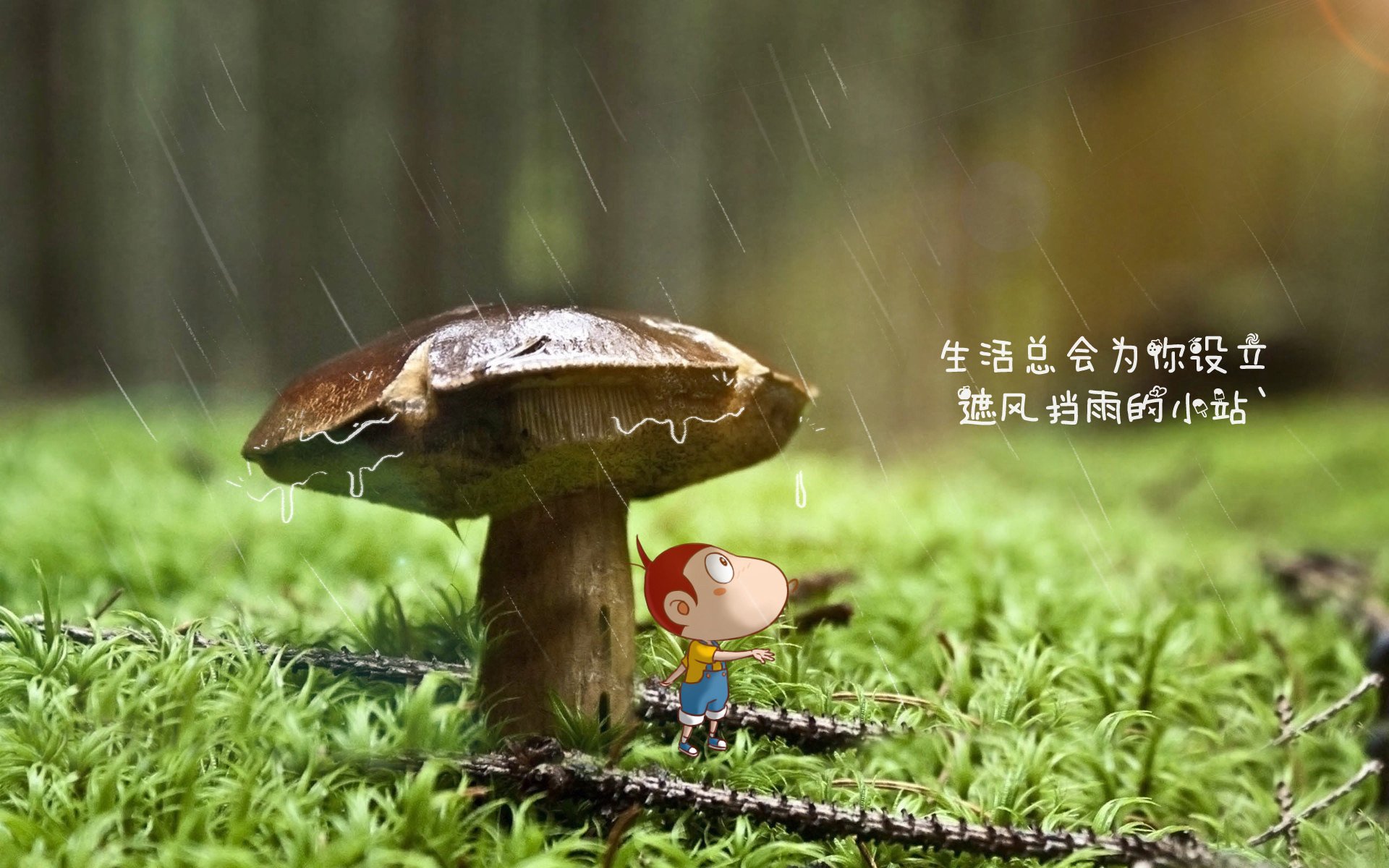 网络直播火爆足球盛况，球迷热情高涨，足球直播流畅