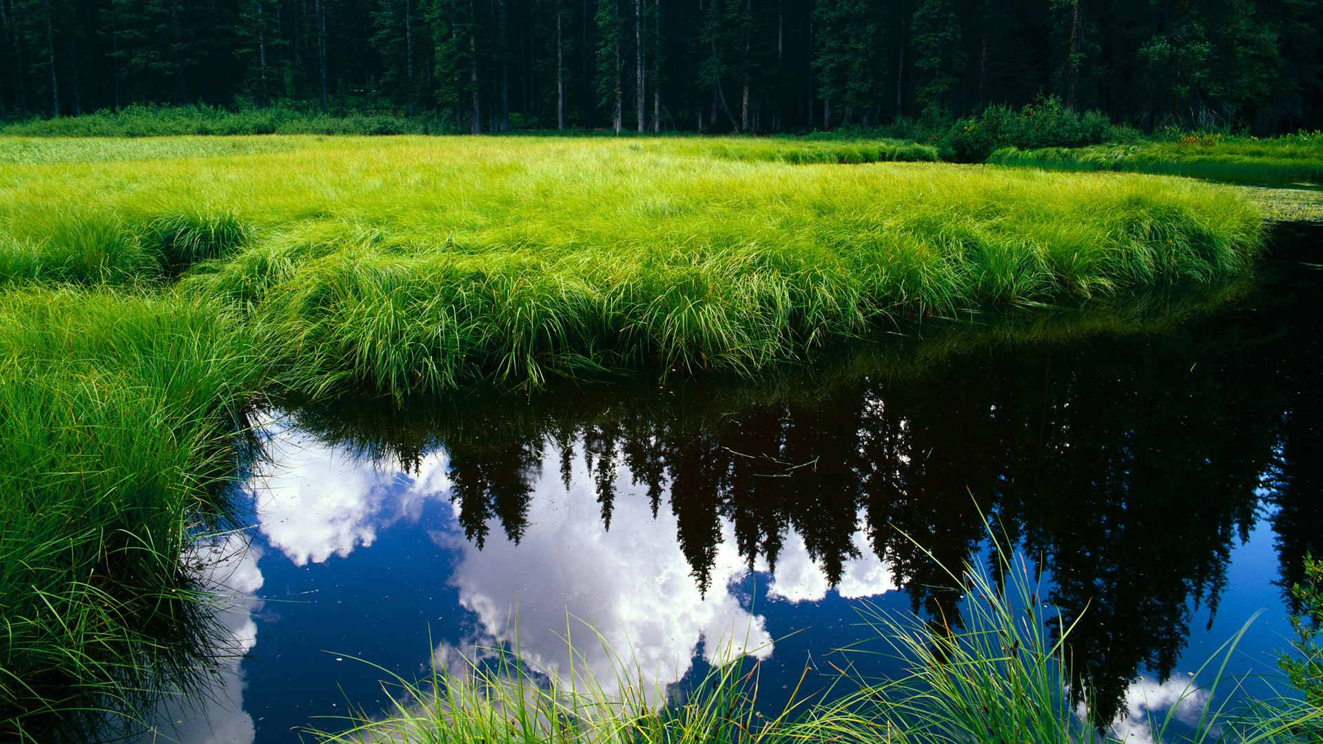 亚洲杯中国青年队夺冠 球员配合默契十足,亚洲杯2021中国队