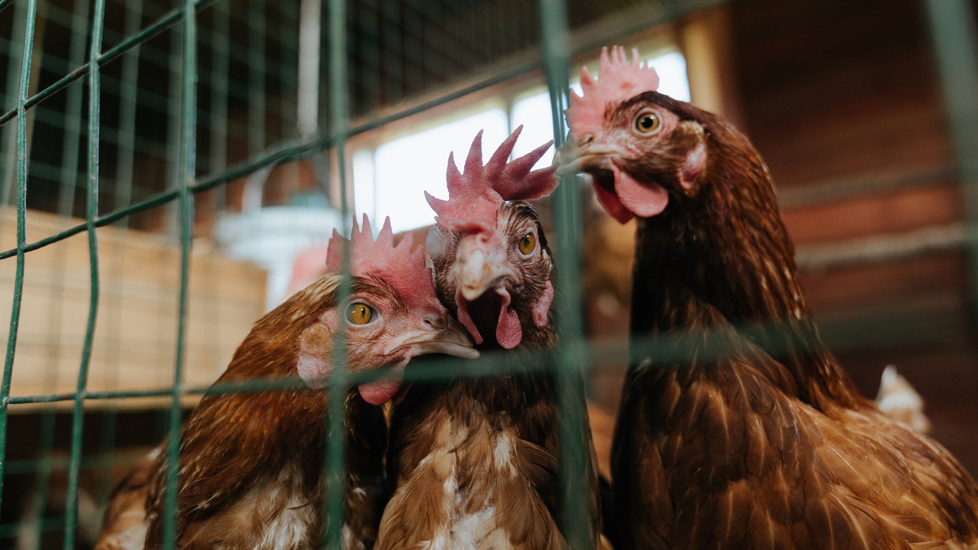 体育新闻中心推动基层体育数字化内容生态创新,体育数字化转型