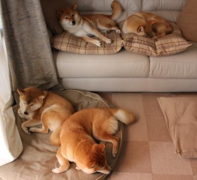 俱乐部财政管理如何避免资金断裂，俱乐部财政管理如何避免资金断裂现象