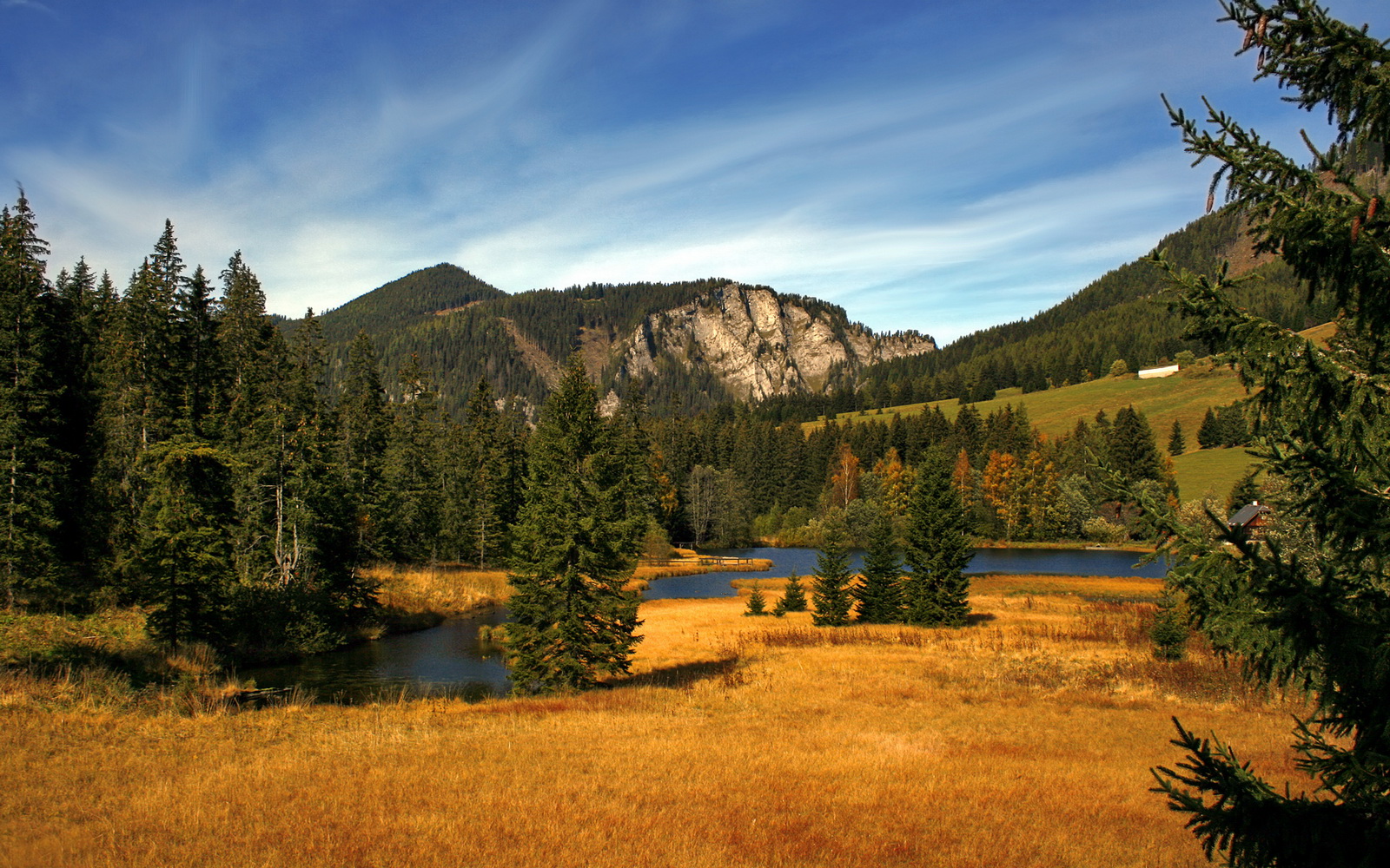 多特蒙德主打青春风暴冲击冠军,多特蒙德冠军阵容