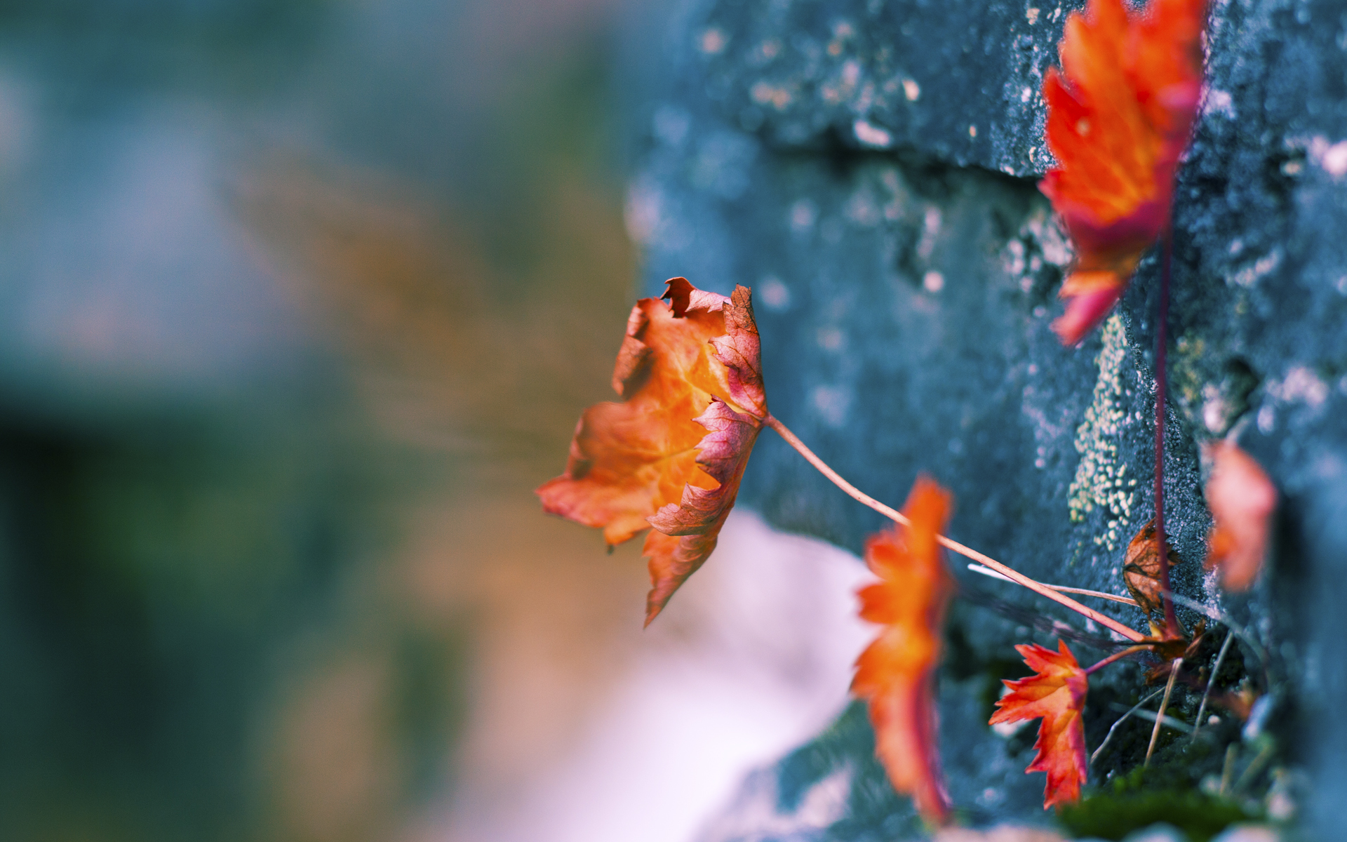 九游游戏中心-节奏改变是否能有效缓解得分荒局面，改变节奏强弱的方法