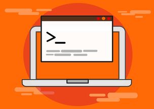 Jiu You-青少年比赛引入技术监测系统保障公平，2020年青少年比赛