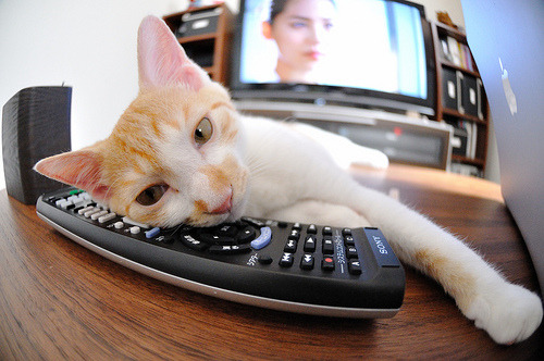 仰泳划频技术稳定度增强,仰泳划手和呼吸的配合