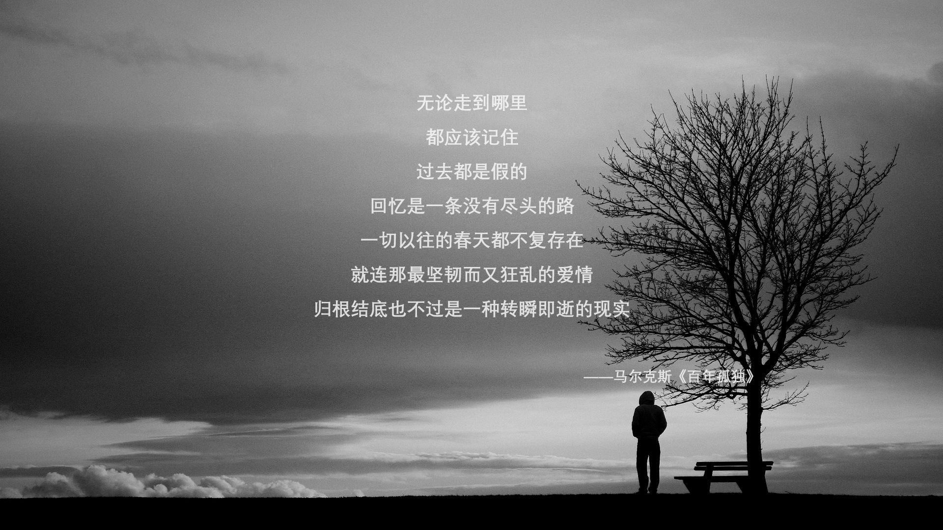 九游下载安装-体育节目收视率节节攀升全民关注热情持续升温，搜一下体育节目