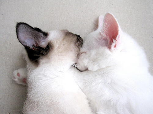 九游网页版官网-国家队推动战术专题片制作强化内部学习材料