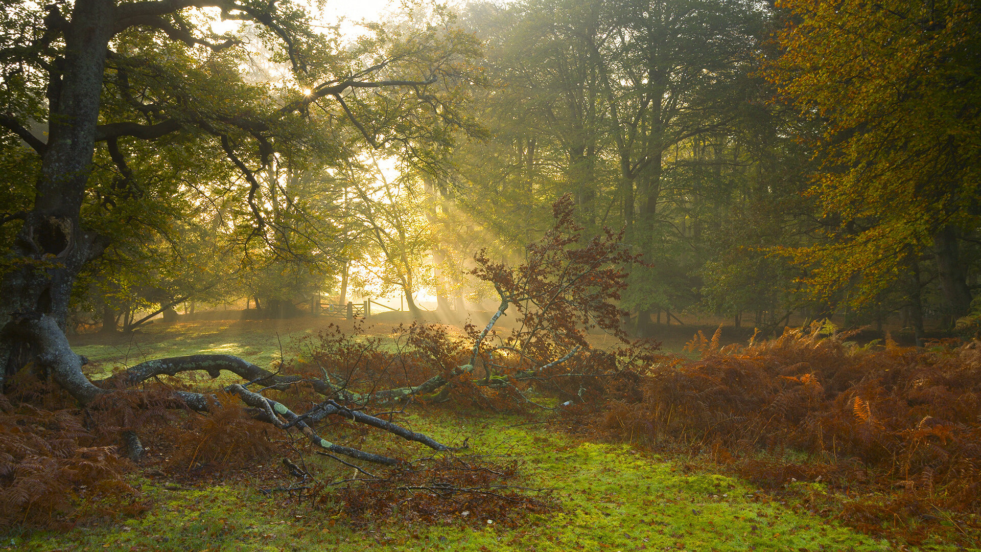 朱婷与小球员合影鼓励勇敢追梦，朱婷和队友互动