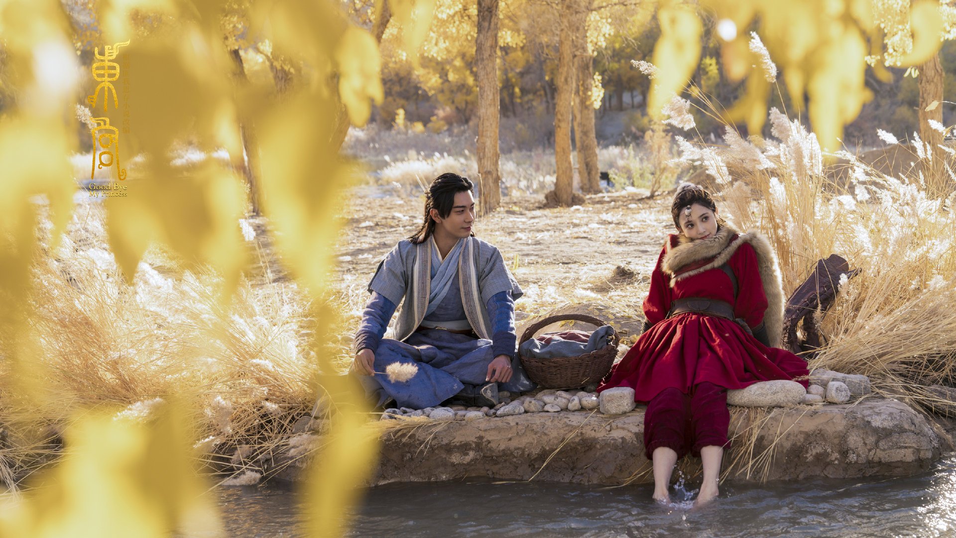 自主研发足球运动大数据系统,实现精细化管理与决策,足球大数据分析系统