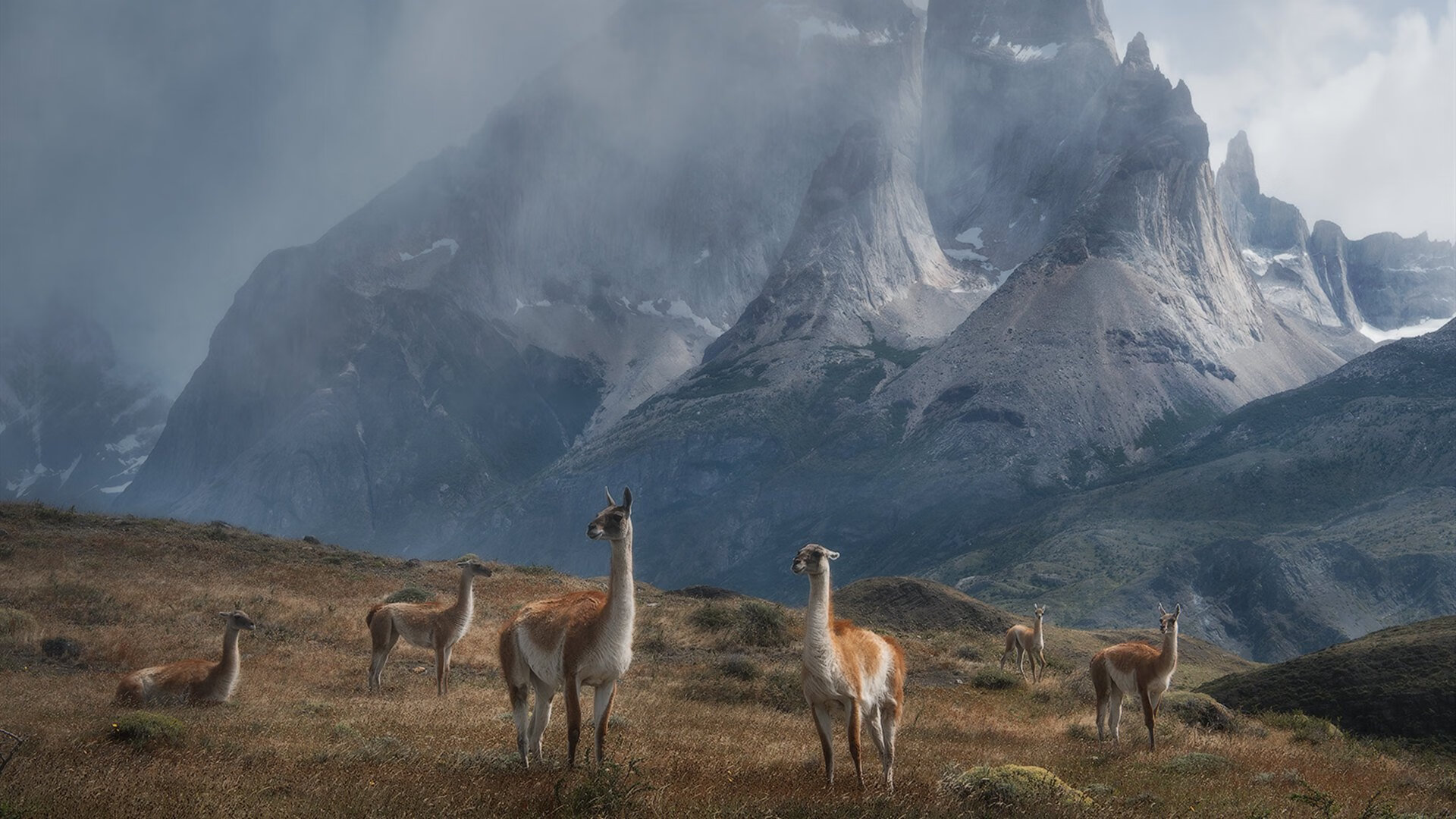 蛙泳比赛朝鲜女队表现亮眼,蛙泳韩国美女