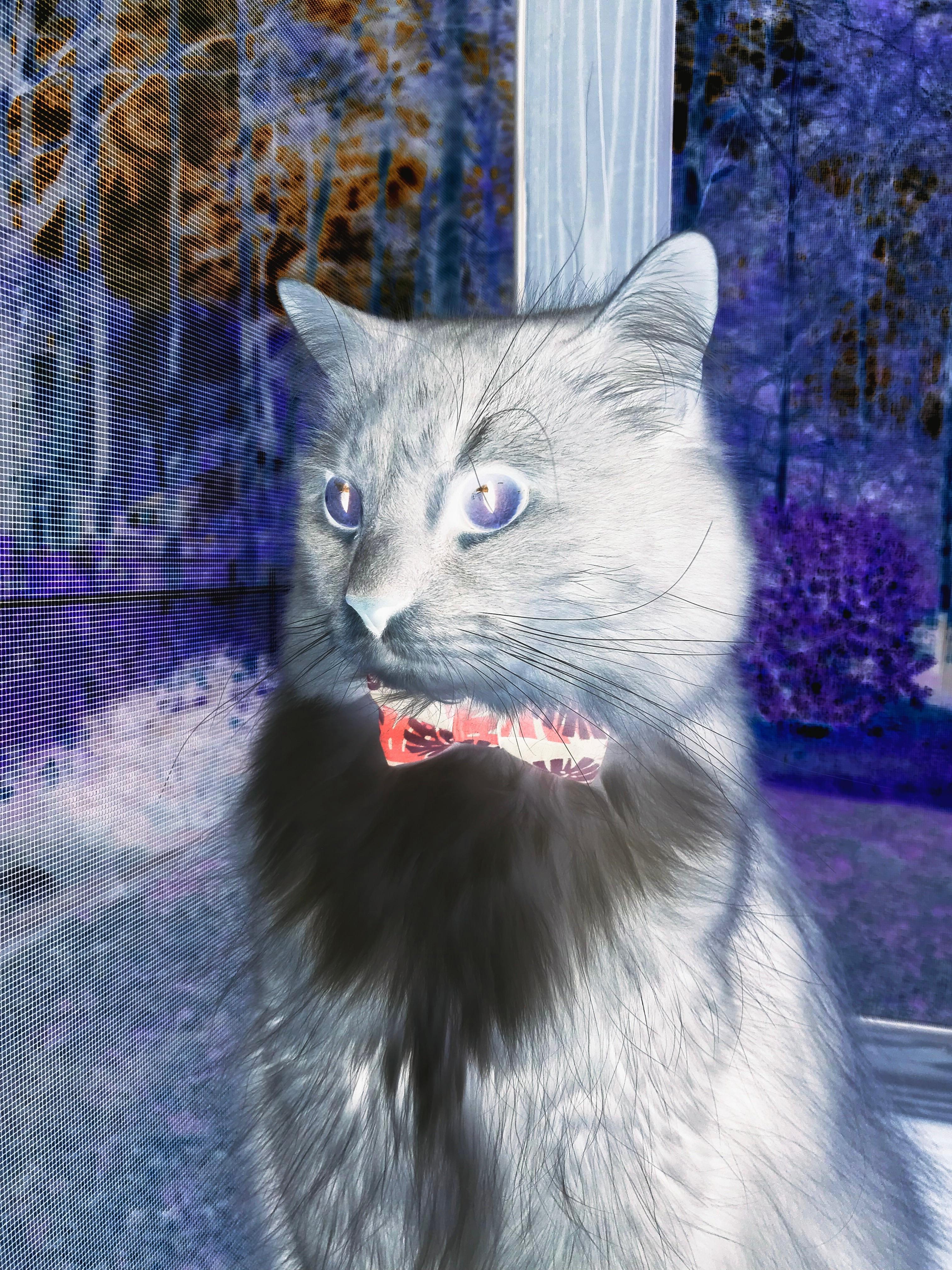 九游jiuyou-马刺注重新人培养强调耐心成长，马刺的精神