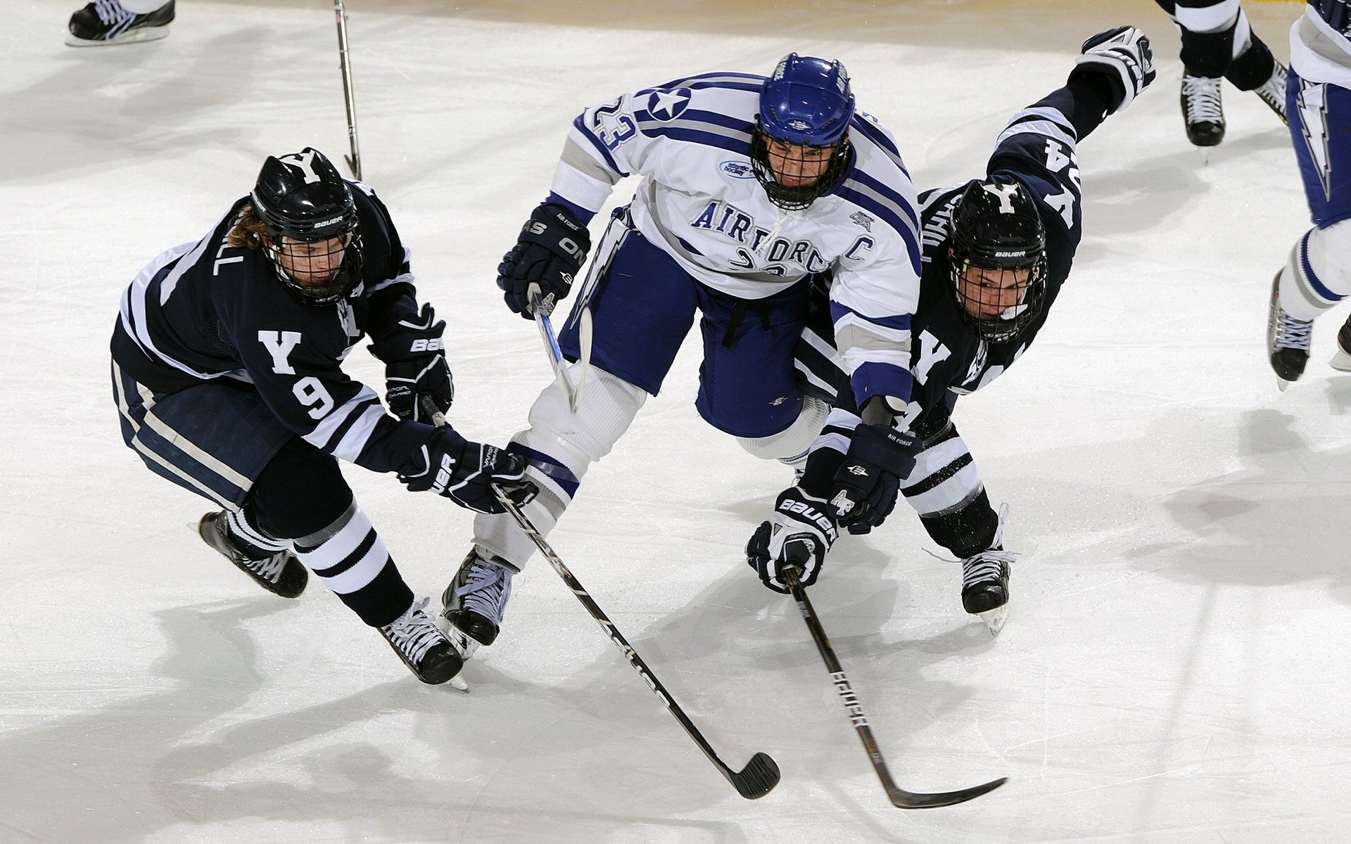 “未来之星”归来：新秀车手的辉煌起步，未来之星是谁