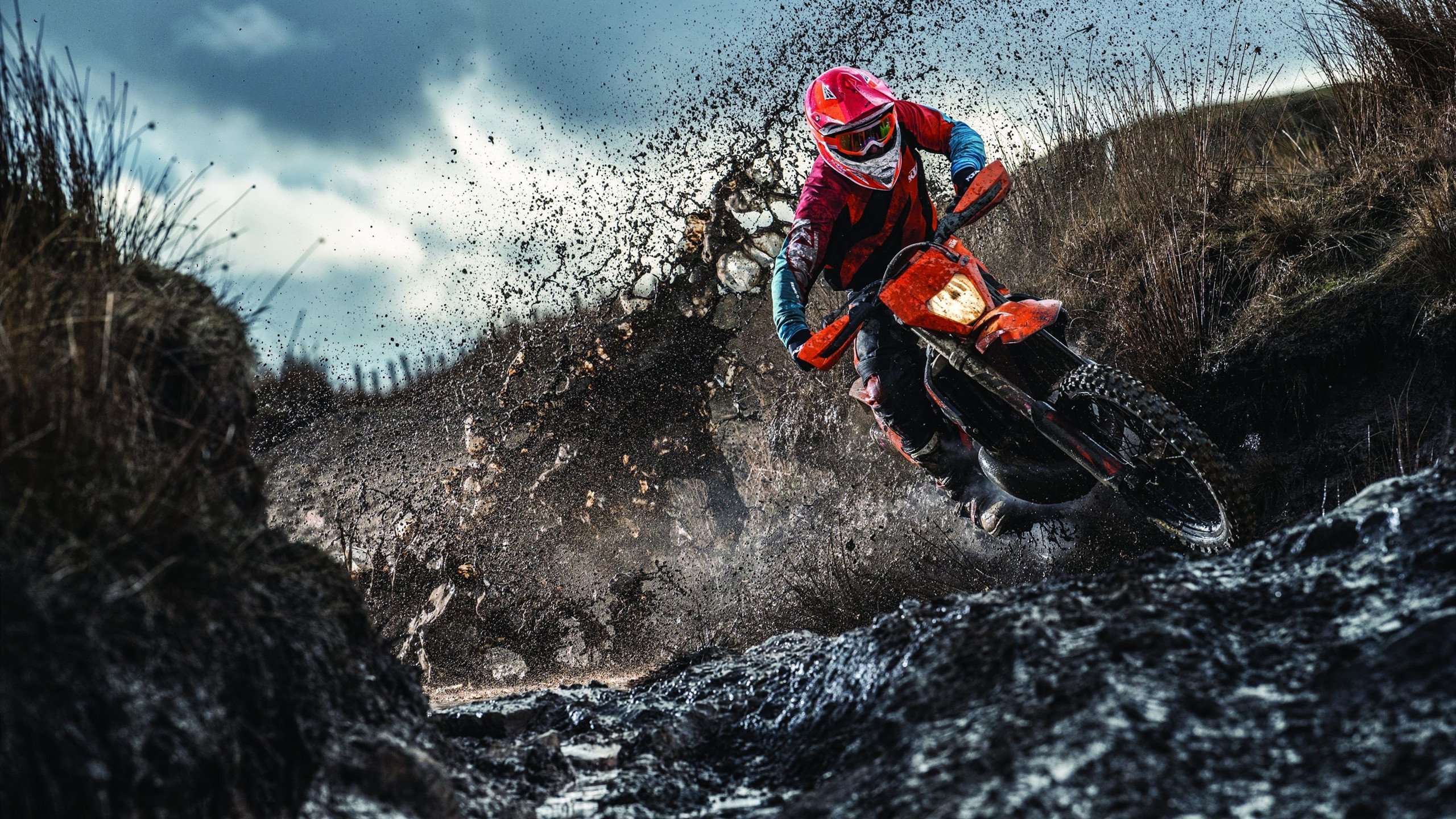 _明星主持加盟：赛事带来更多趣味互动_，主持人介绍明星开场白