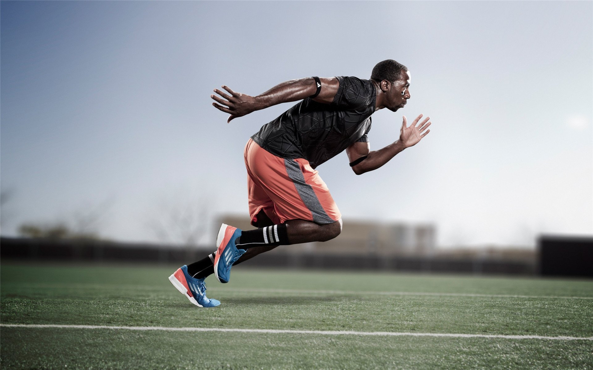 各国特色：不同国家的赛场狂热，各国联赛特点